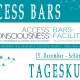 Access Bars Tageskurs / Seminar /...